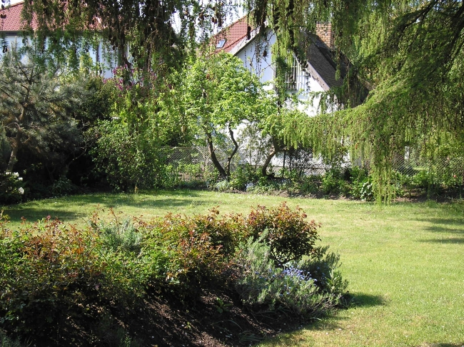 Garten der Villa Cremona